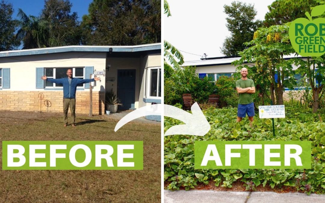 How to turn your central florida yard into a garden